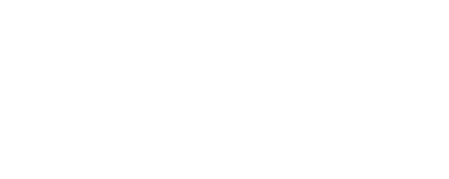 COVERT AFFAIRS/コバート・アフェア